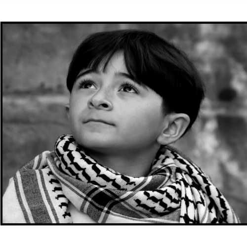 2025-08-18, Parlement de Wallonie à Namur : Stop génocide à Gaza ! Photo : Michel Wittek.