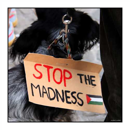 2025-10-02 - Namur : rassemblement contre l'interception de la Global Sumud Flotilla